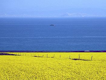 點擊查看源網(wǎng)頁