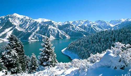 點擊查看源網(wǎng)頁