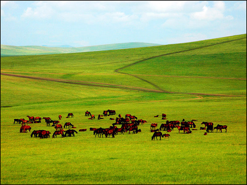 點擊查看源網頁