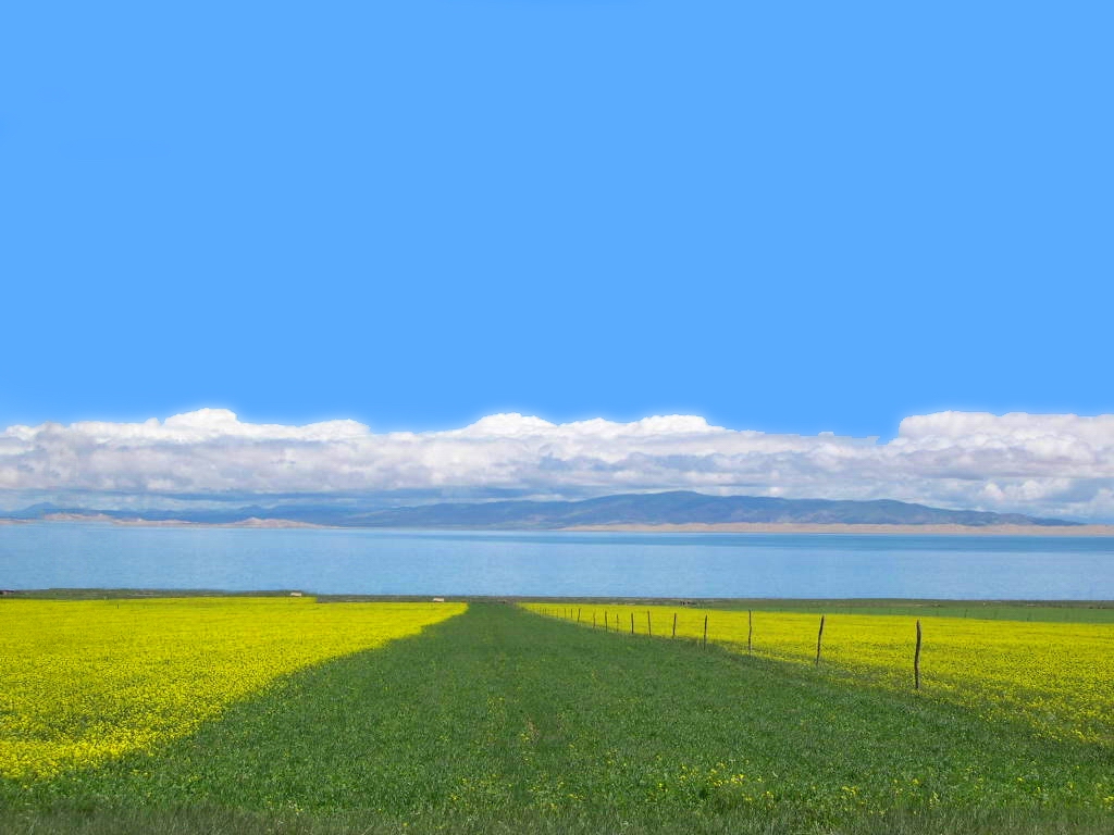 青海湖 青海湖