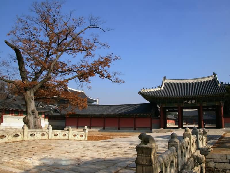 點擊查看源網頁