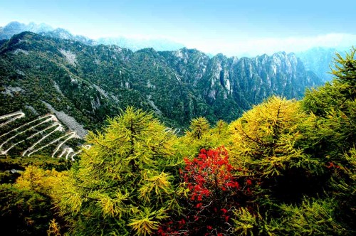 點擊查看源網頁